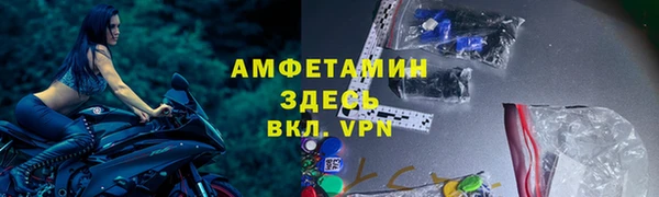 шишки Белокуриха
