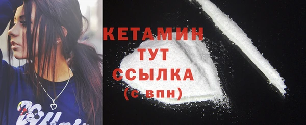 шишки Белокуриха