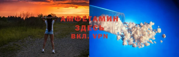 шишки Белокуриха