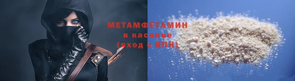 шишки Белокуриха