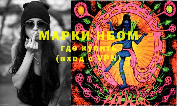 шишки Белокуриха