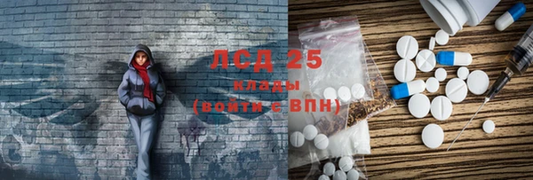 шишки Белокуриха